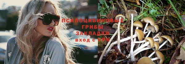 гашик Балахна