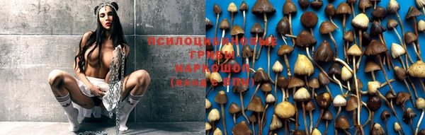не бодяженный Баксан