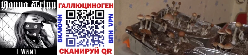 Галлюциногенные грибы мухоморы  цены   Шарья 